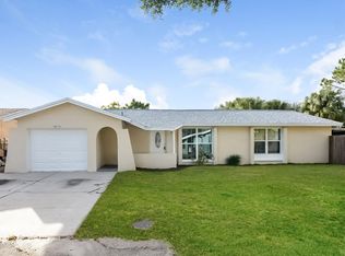 10115 Royal Acres Ct, Tampa, FL 33615