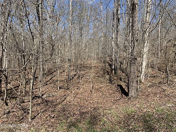 3rd image of 0 Old Ridge Rd Lot 43