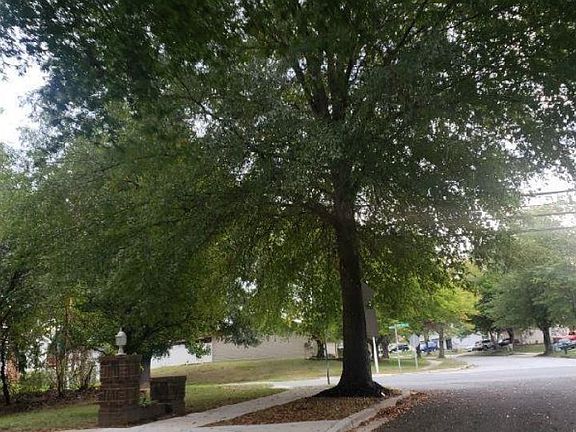 4th image of 10412 Wyld Dr