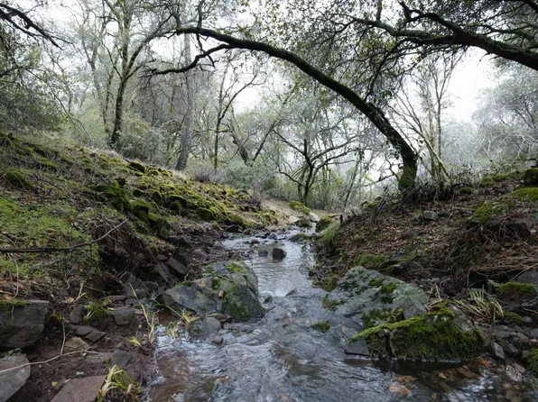 Rustic Creek Ln, Rescue, CA 95672