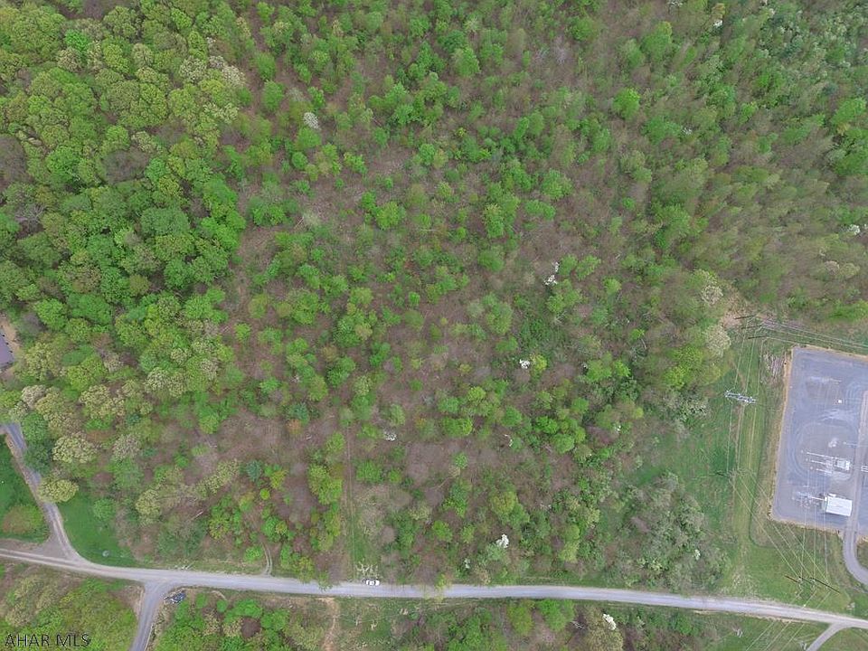 1st image of 224 Black Bear Ln