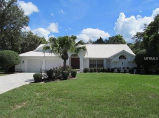 9180 Niagara Rd, Weeki Wachee, FL 34613