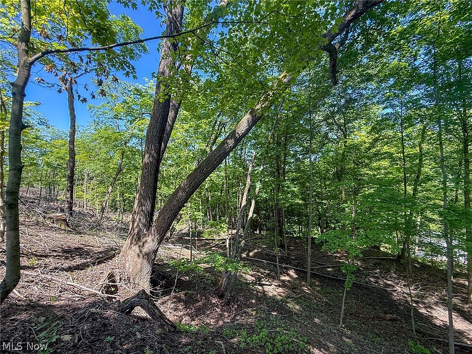 1st image of LOT 1 Altamont Rd