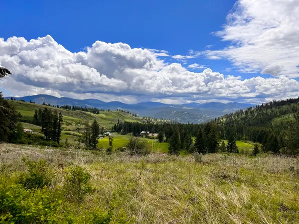 293 Big Goosmus Creek Rd, Curlew, WA 99118