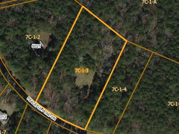 3 Peaceful Pond Dr, Jamesville, VA 23398