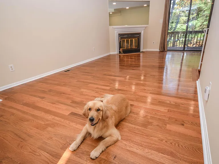 8711 Ravenglass Way — Photo 3