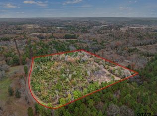 County Road 2201, Daingerfield, TX 75638