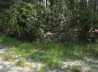 100 Palmetto Ln LOT 18, Georgetown, FL 32139