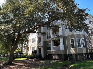 700 Daniel Ellis Dr APT 4208, Charleston, SC 29412