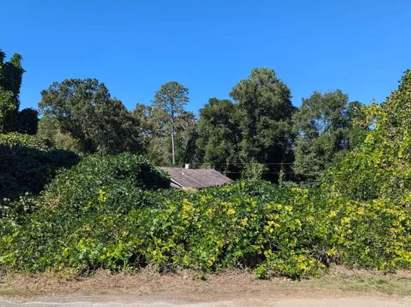 0 Clinic Rd, Tate, GA 30177