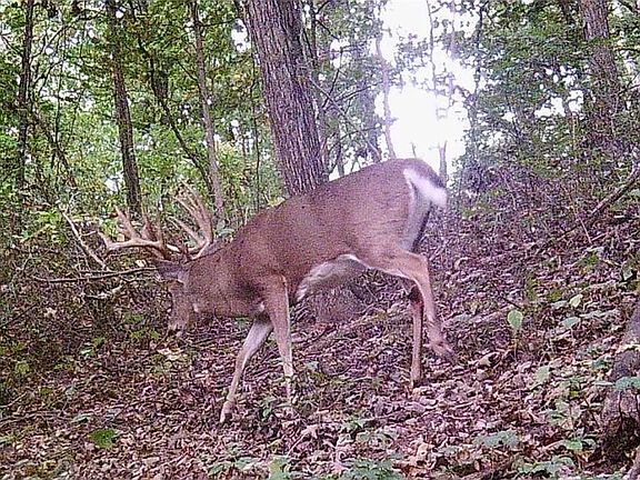2nd image of 656 County Road 900 N