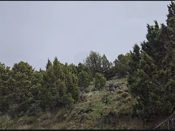 246 Greencrest Dr, Spring Creek, NV 89815