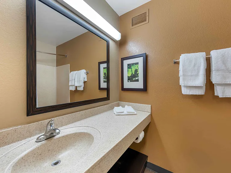 Studio Suite - 1 King Bed