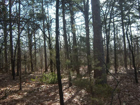 Double G Farm Rd, Mountain View, AR 72560