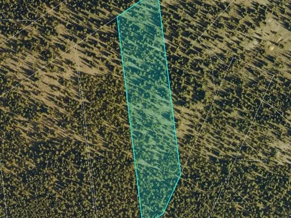 11297 General Sherman, Leadville, CO 80461