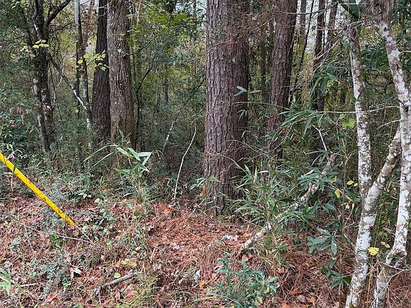 2nd image of 0 Dillon Rd