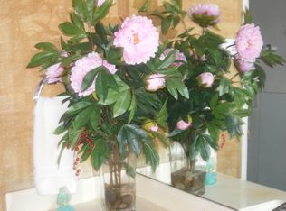 11311 Audelia Rd APT 117, Dallas, TX 75243