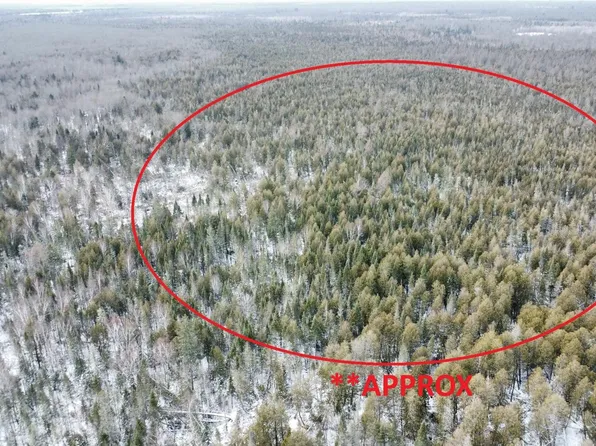 Near Lowells Rd, Deerbrook, WI 54424