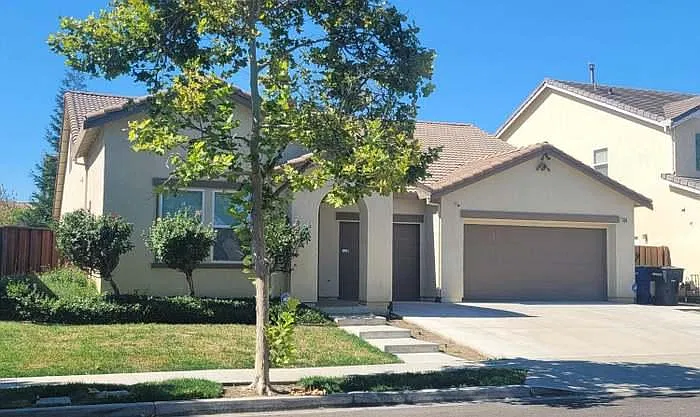 1436 Phlox Dr — Photo 3