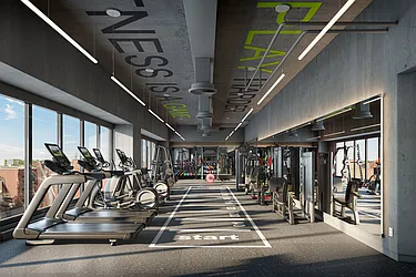 Rented by The Marketing Directors