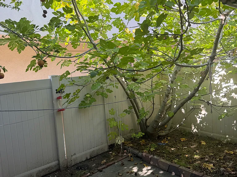 918 W Huntington Dr #C — Photo 10