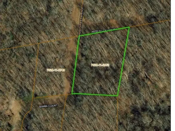 0 Amber Lou Ct, Beaverdam, VA 23015