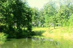 View from Drive
