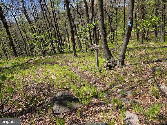 5th image of 0 McCabe Rd