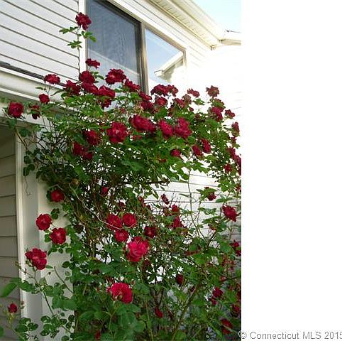 1st image of 61 Brookwood Dr APT D