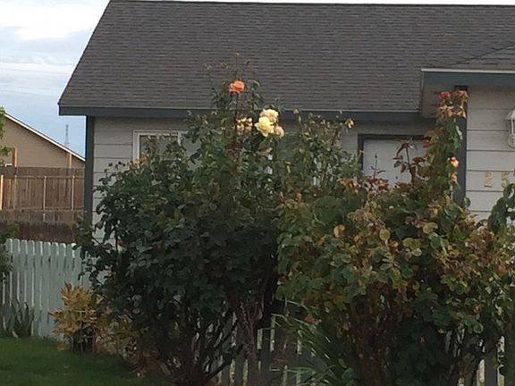 2nd image of 2508 E Kalispell Ct