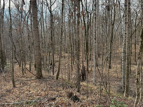 Photo Jan 10 2026 2 57 50 Pm