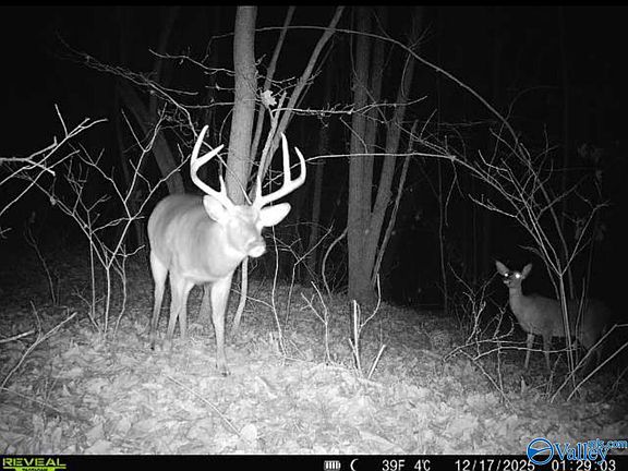 4th image of Bishop Mountain Rd