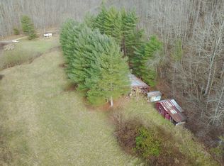 Bee Run, Gandeeville, WV 25243