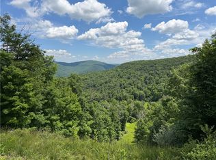 Vl Catatunk Rd #R, Canisteo, NY 14823
