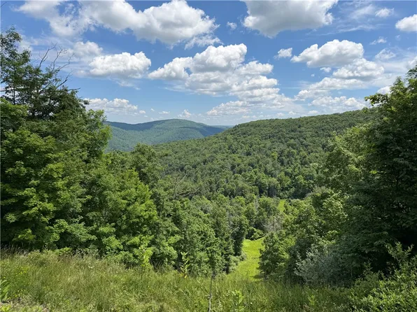 Vl Catatunk Rd #R, Canisteo, NY 14823