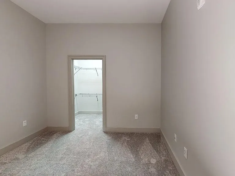 Spacious apartment bedroom with large closet and plush carpet flooring.