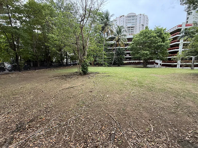 690 Teniente Cesar Luis Gonzalez Ave — Photo 47