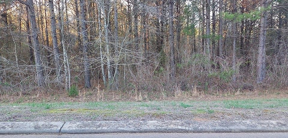 2nd image of 262 Mountain View Cir