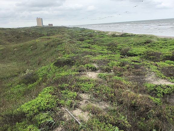 2nd image of 110 Mustang Island Estates Dr