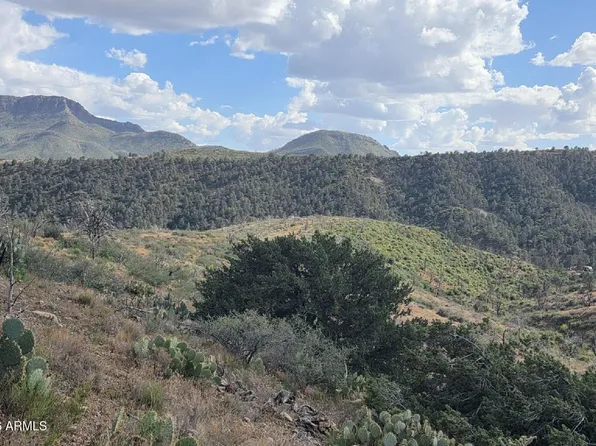 10XX E Horseshoe Springs Road #2, Globe, AZ 85501