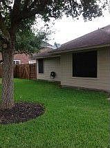 BACKYARD4