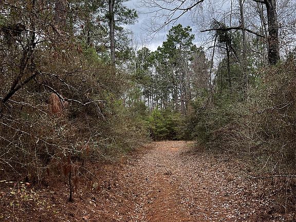4th image of County Road 207