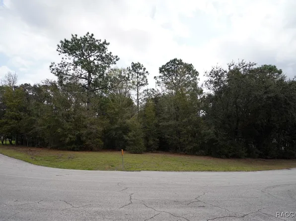 1159 N Nashua Ter, Inverness, FL 34453