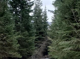 16 E Bull Lake Rd, Troy, MT 59935