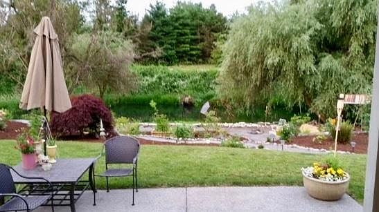 Peaceful view from the back porch