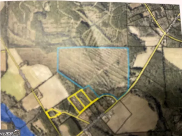 0 Beards Bluff Rd, Odum, GA 31555