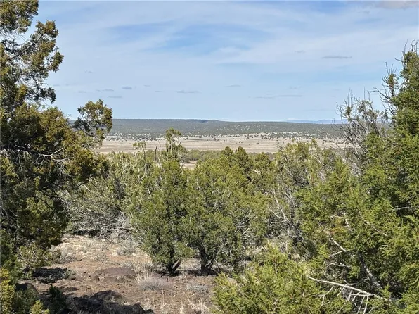 17 N Doe Trl #4, Kingman, AZ 86401