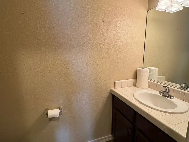 1676 Golddust Dr — Photo 8