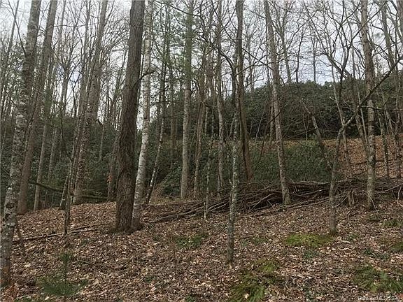 4th image of 7 Pisgah Forest Dr