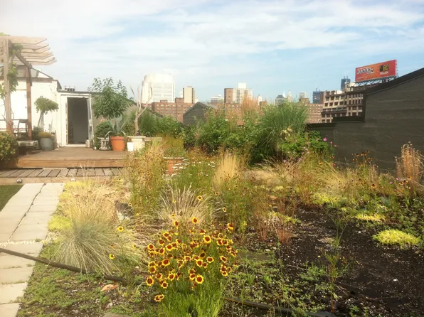 170 Tillary Street image 8 of 8